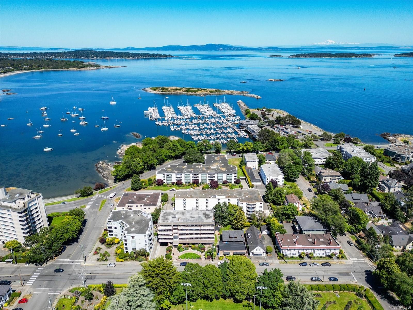 109-1370 Beach Dr, Oak Bay, BC - Outdoor With Body Of Water With View