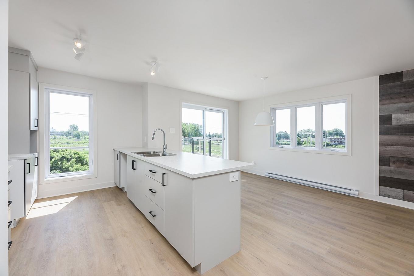 Cuisine - 301-135 Rue Richer, Salaberry-De-Valleyfield, QC - Indoor Photo Showing Kitchen With Double Sink