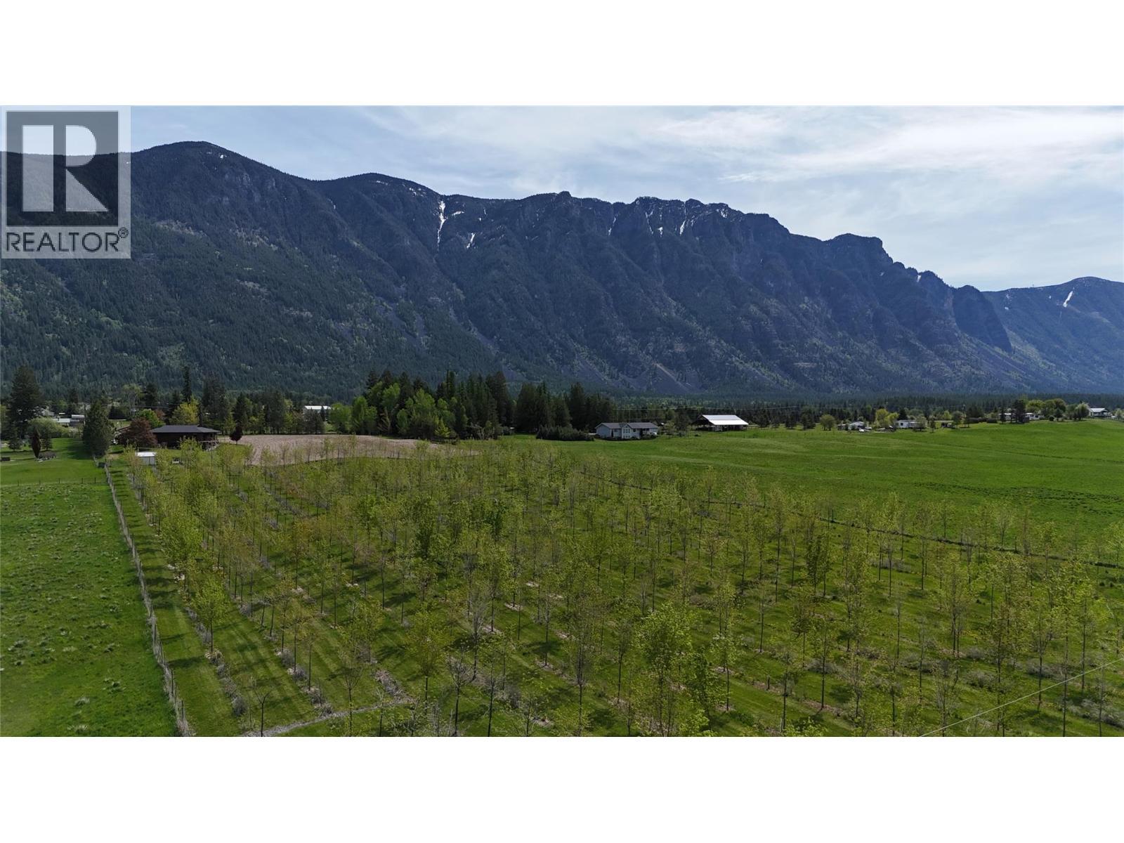 3853 Muzzy Road, Creston, BC - Outdoor With View