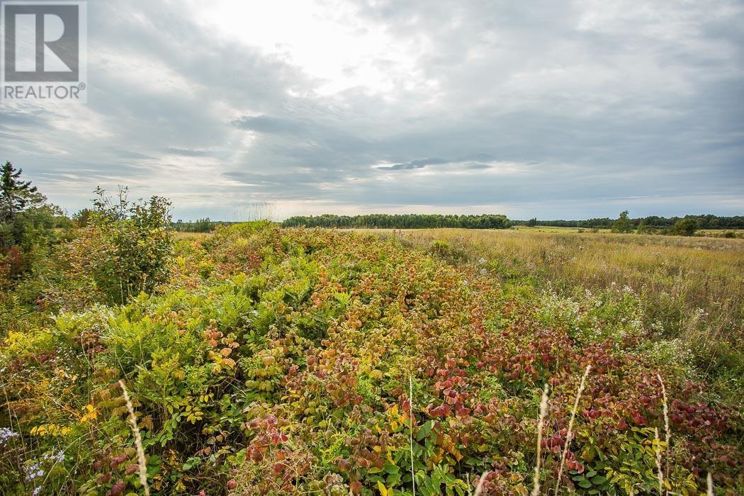 West Side Maclennan Rd/South Side Government Rd|Property 4, Township Of Tarbutt, Desbarats, ON