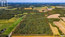 PT LT 134-135 LAMERS LINE Bayham, ON N0J 1Y0