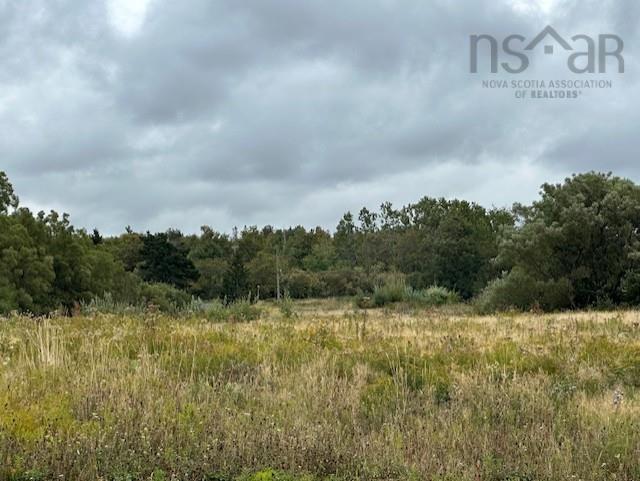 41 Neptune Lane, Ponds, NS