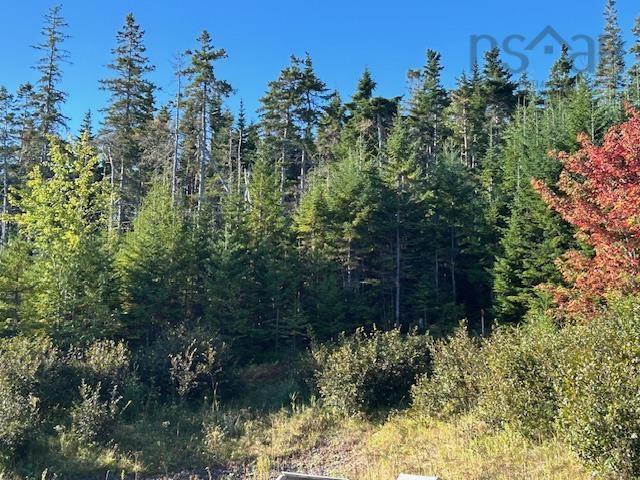 Lot 2024-2 Grenville Street, St. Peter'S, NS
