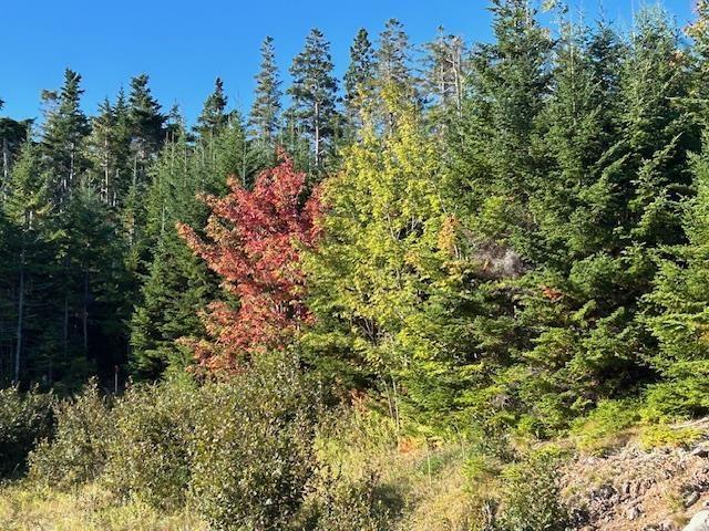 Lot 2024-2 Grenville Street, St. Peter'S, NS