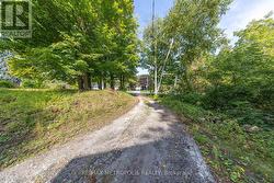 5297 LAWRENCE AVENUE E Toronto, ON M1C 1R5