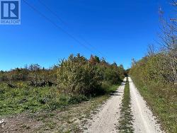 Looking West on Conc20 -