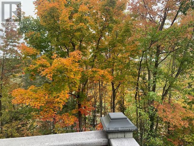 3521 Grandview Forest Hill Drive, Huntsville, ON - Outdoor