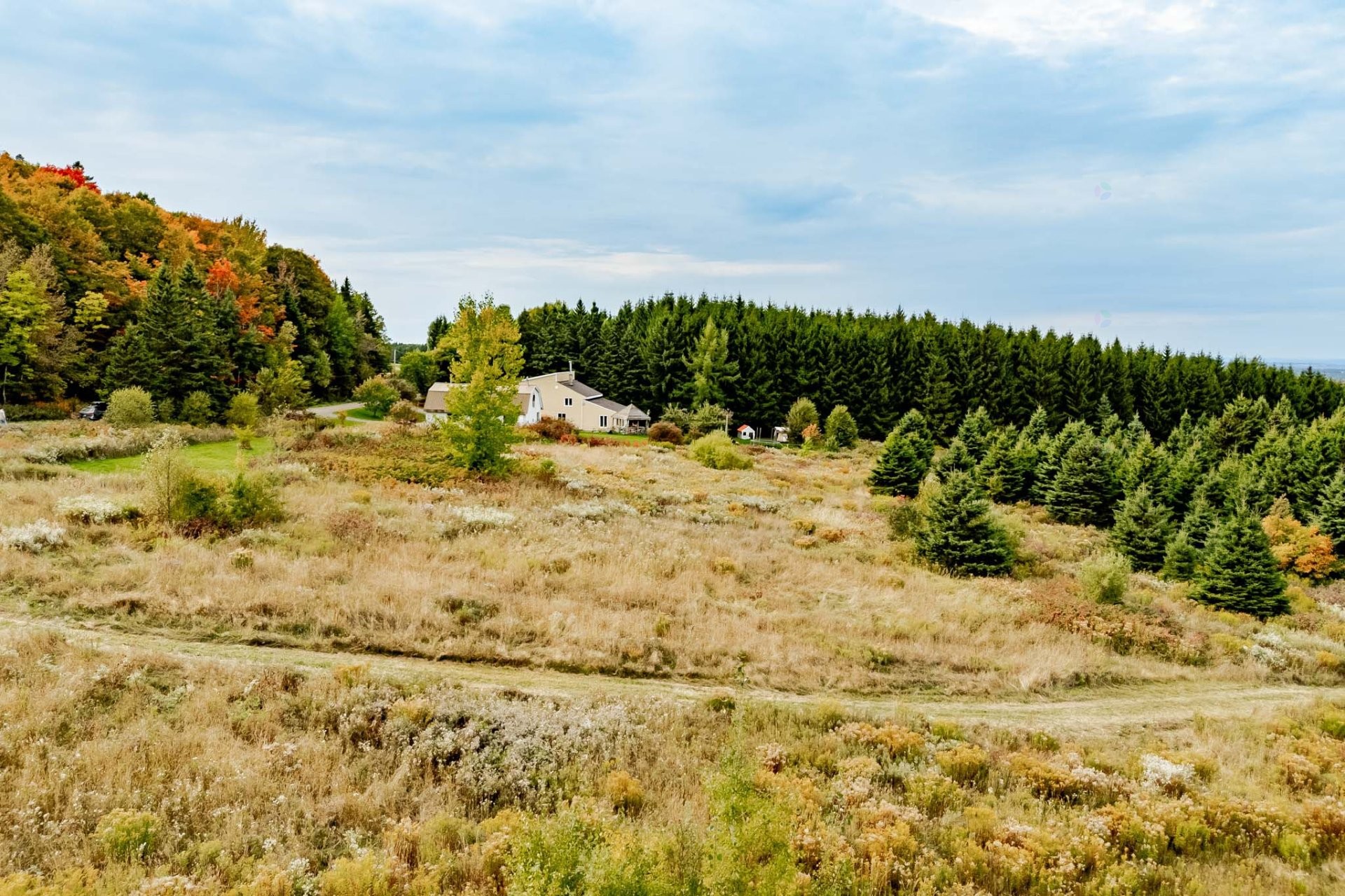 Photo aérienne - 1000Z 10E Rang, Saint-Herménégilde, QC