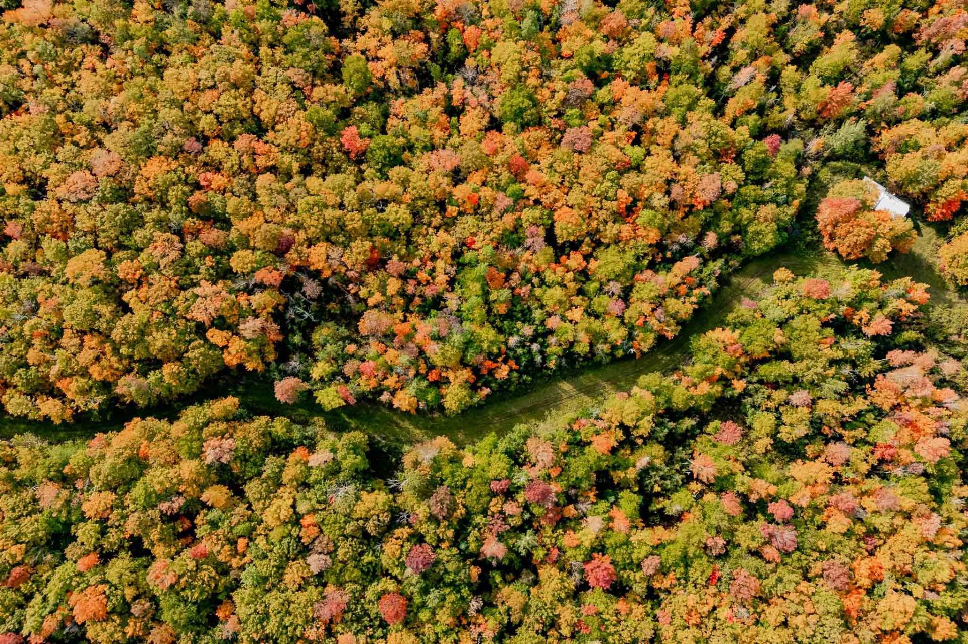 Photo aérienne - 1000Z 10E Rang, Saint-Herménégilde, QC
