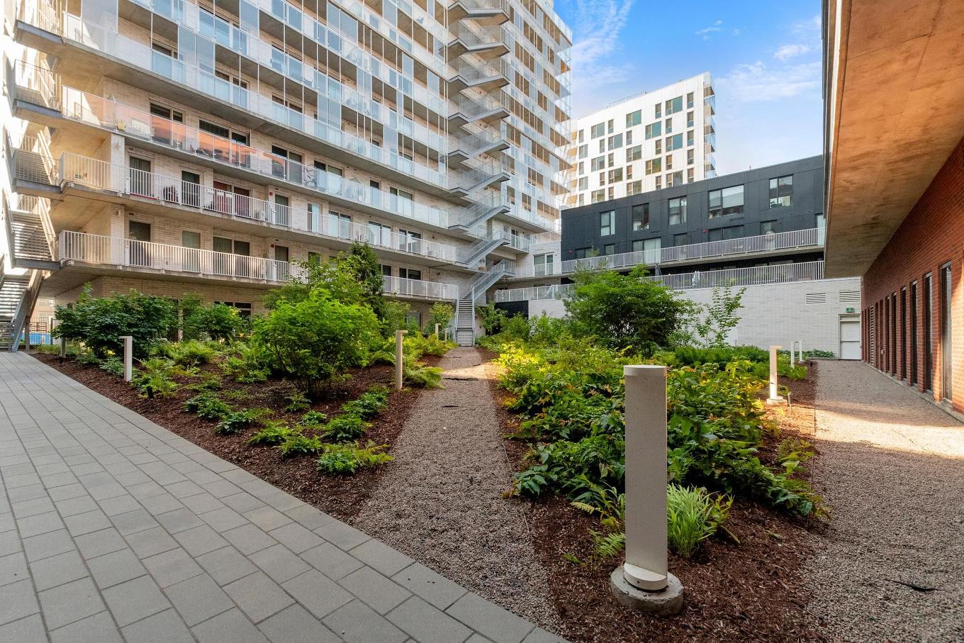 Garden - 429-2180 Rue Ste-Catherine E., Montréal (Ville-Marie), QC - Outdoor With Balcony