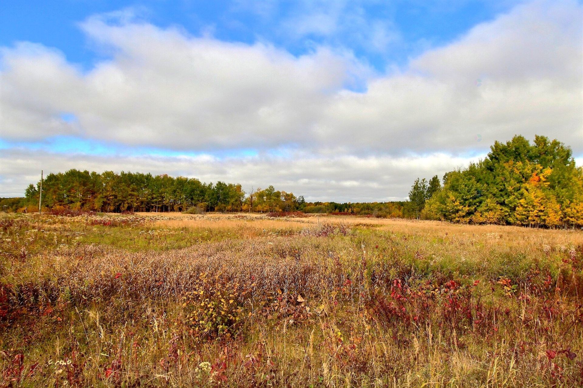 Terre/Terrain - Ch. St-Pierre, Senneterre - Paroisse, QC