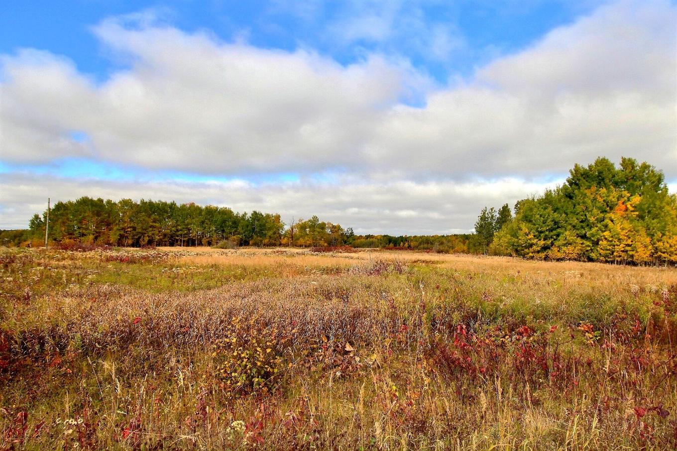 Land/Lot - Ch. St-Pierre, Senneterre - Paroisse, QC