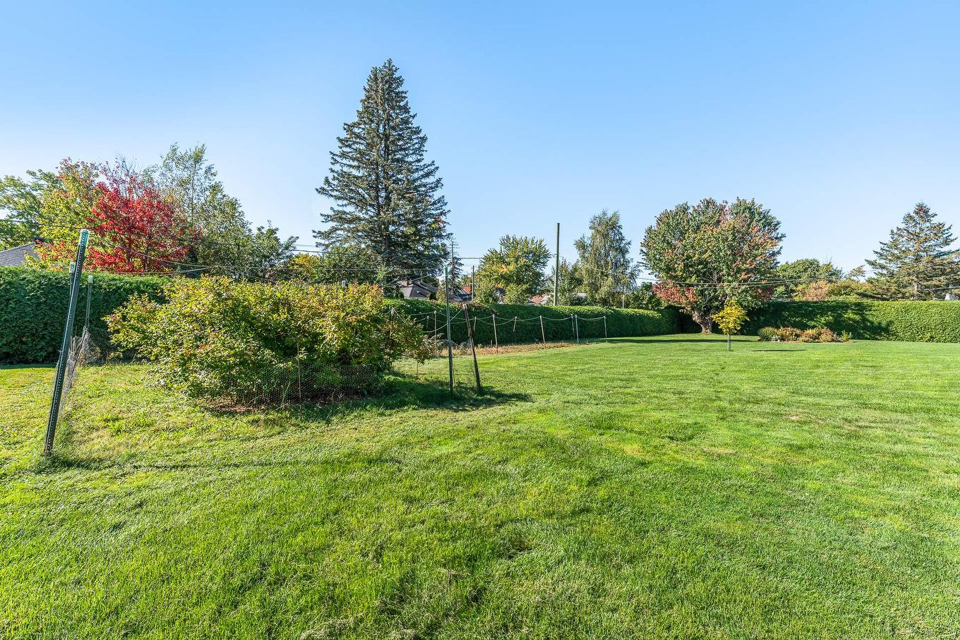 Backyard - 800 Rue Du Centenaire, Farnham, QC - Outdoor