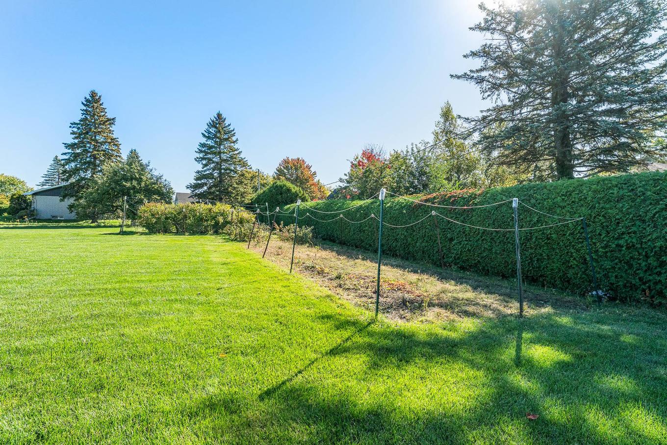 Backyard - 800 Rue Du Centenaire, Farnham, QC - Outdoor