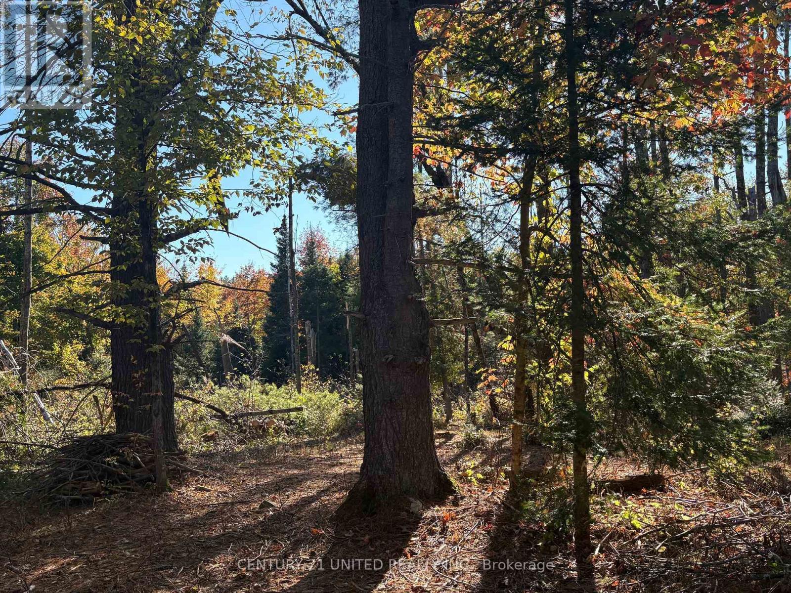 N/A Twin Sister Lakes Road, Marmora And Lake (Marmora Ward), ON