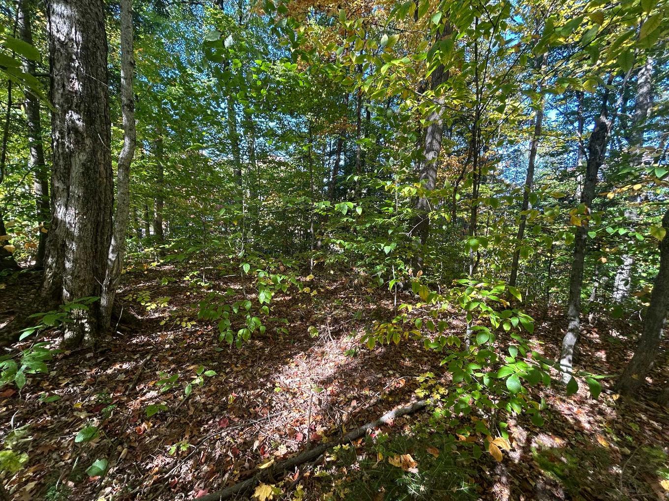 Land/Lot - Rue Mountain, Rawdon, QC