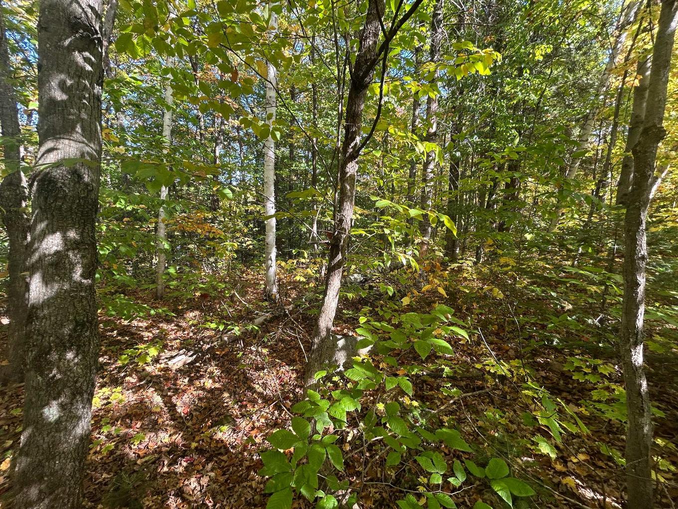 Land/Lot - Rue Mountain, Rawdon, QC