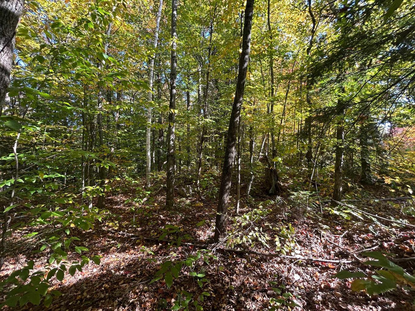 Land/Lot - Rue Mountain, Rawdon, QC