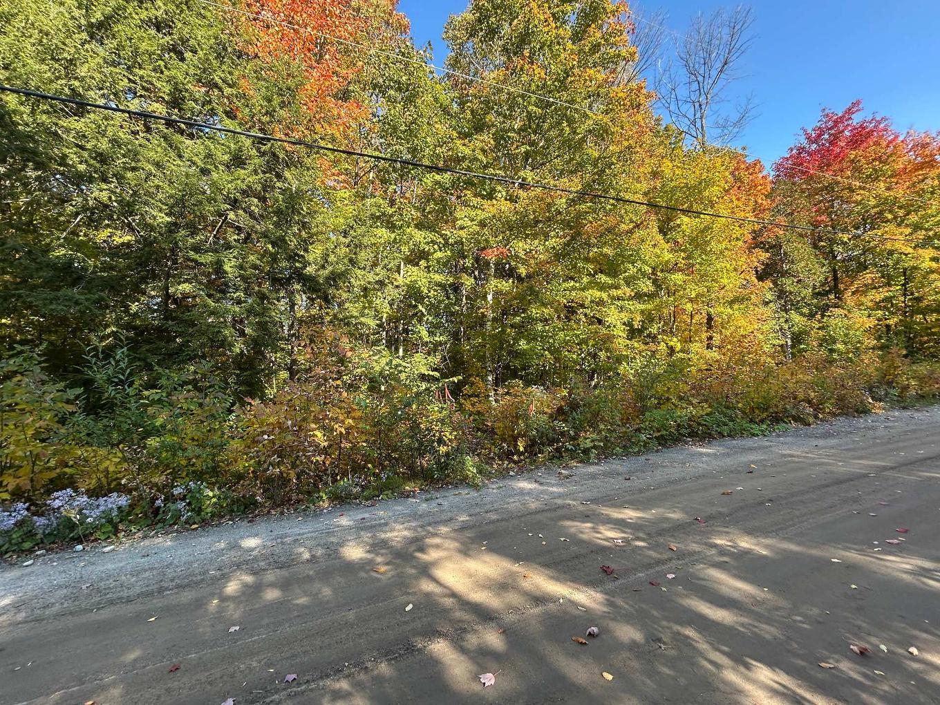 Land/Lot - Rue Mountain, Rawdon, QC