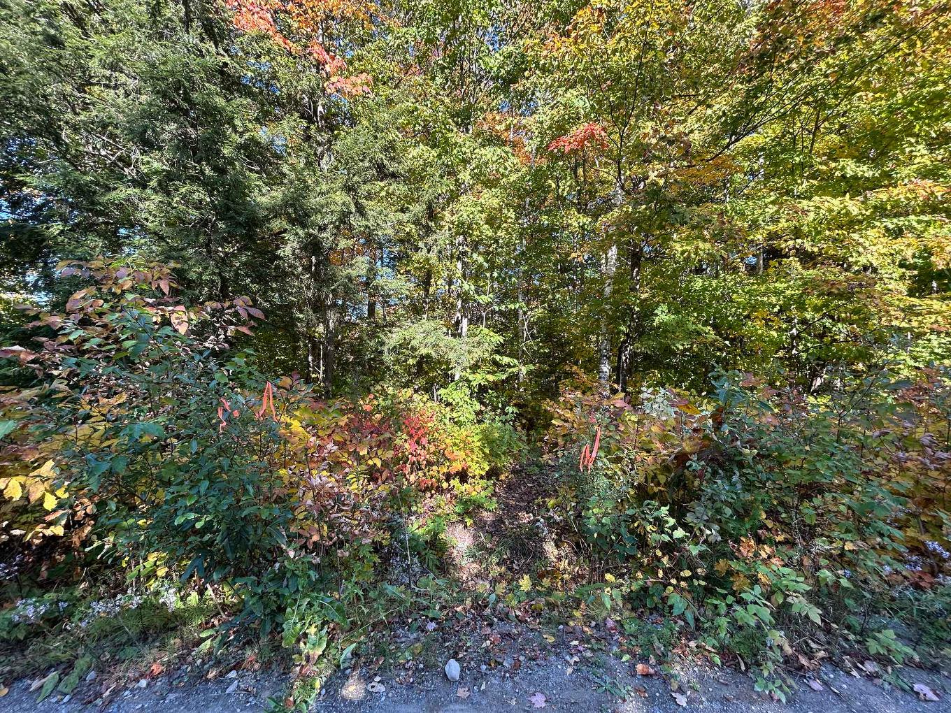 Land/Lot - Rue Mountain, Rawdon, QC