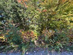 Land/Lot -