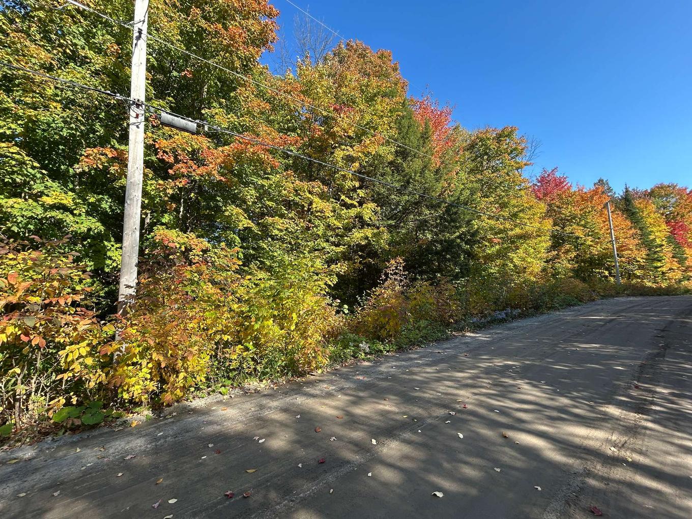 Land/Lot - Rue Mountain, Rawdon, QC
