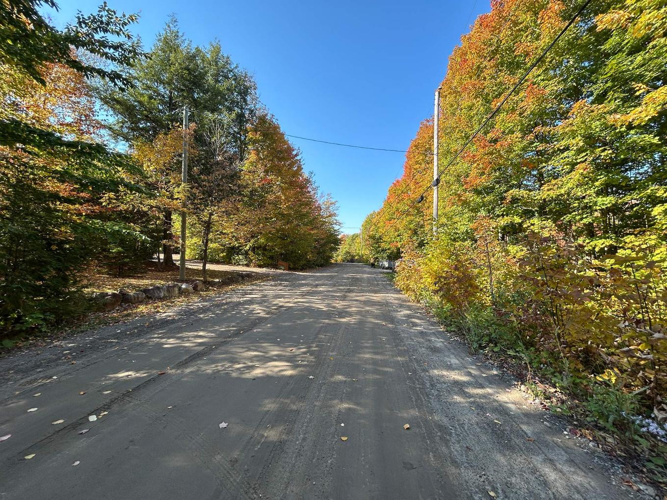 Land/Lot - Rue Mountain, Rawdon, QC