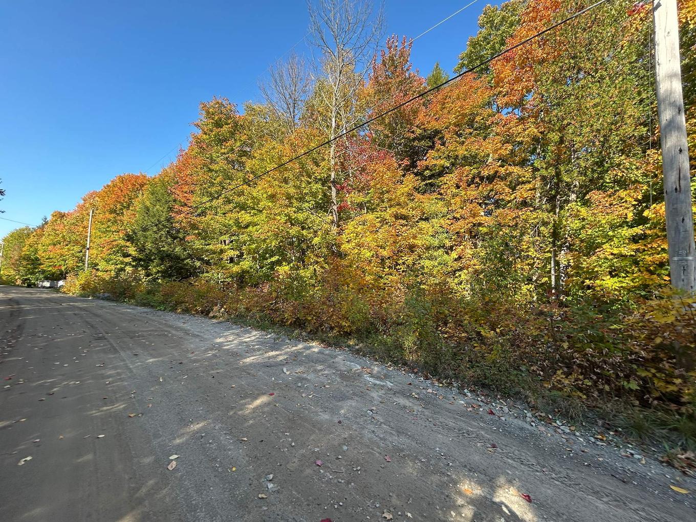 Land/Lot - Rue Mountain, Rawdon, QC