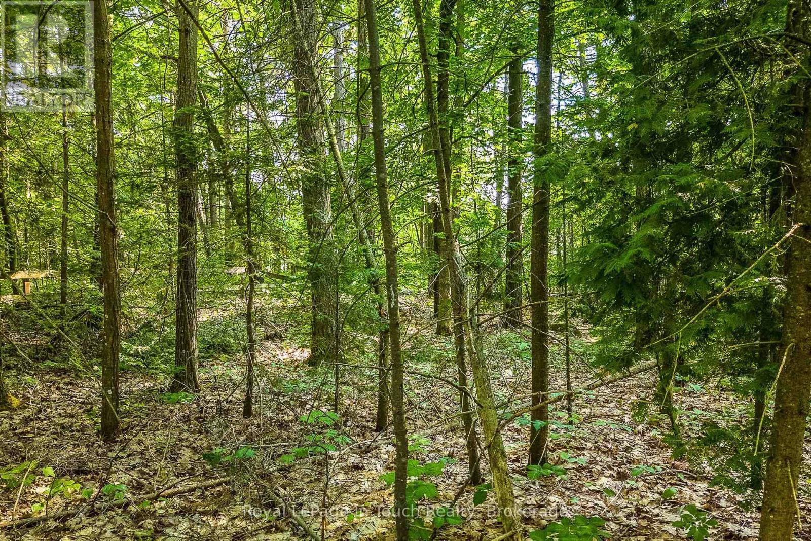 Lot 47 Trout Lane, Tiny, ON