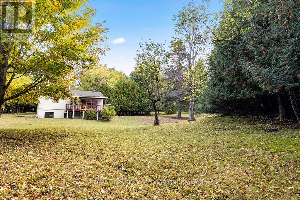 637202 Prince Of Wales Road, Mulmur, ON - Outdoor