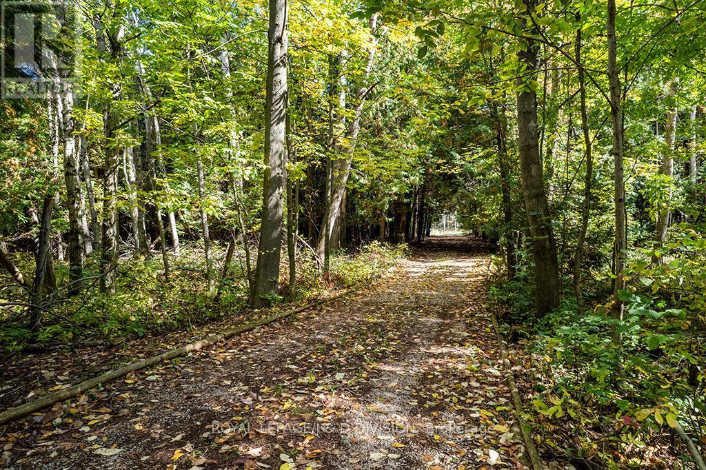 637202 Prince Of Wales Road, Mulmur, ON - Outdoor