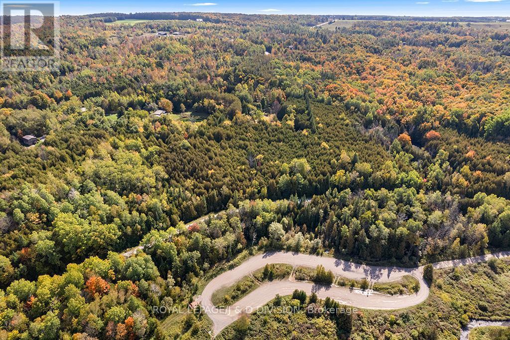 637202 Prince Of Wales Road, Mulmur, ON - Outdoor With View