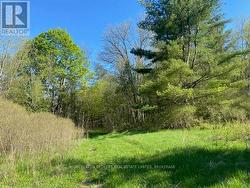 3519 COUNTY RD 3 ROAD Leeds And The Thousand Islands, ON K0E 1N0