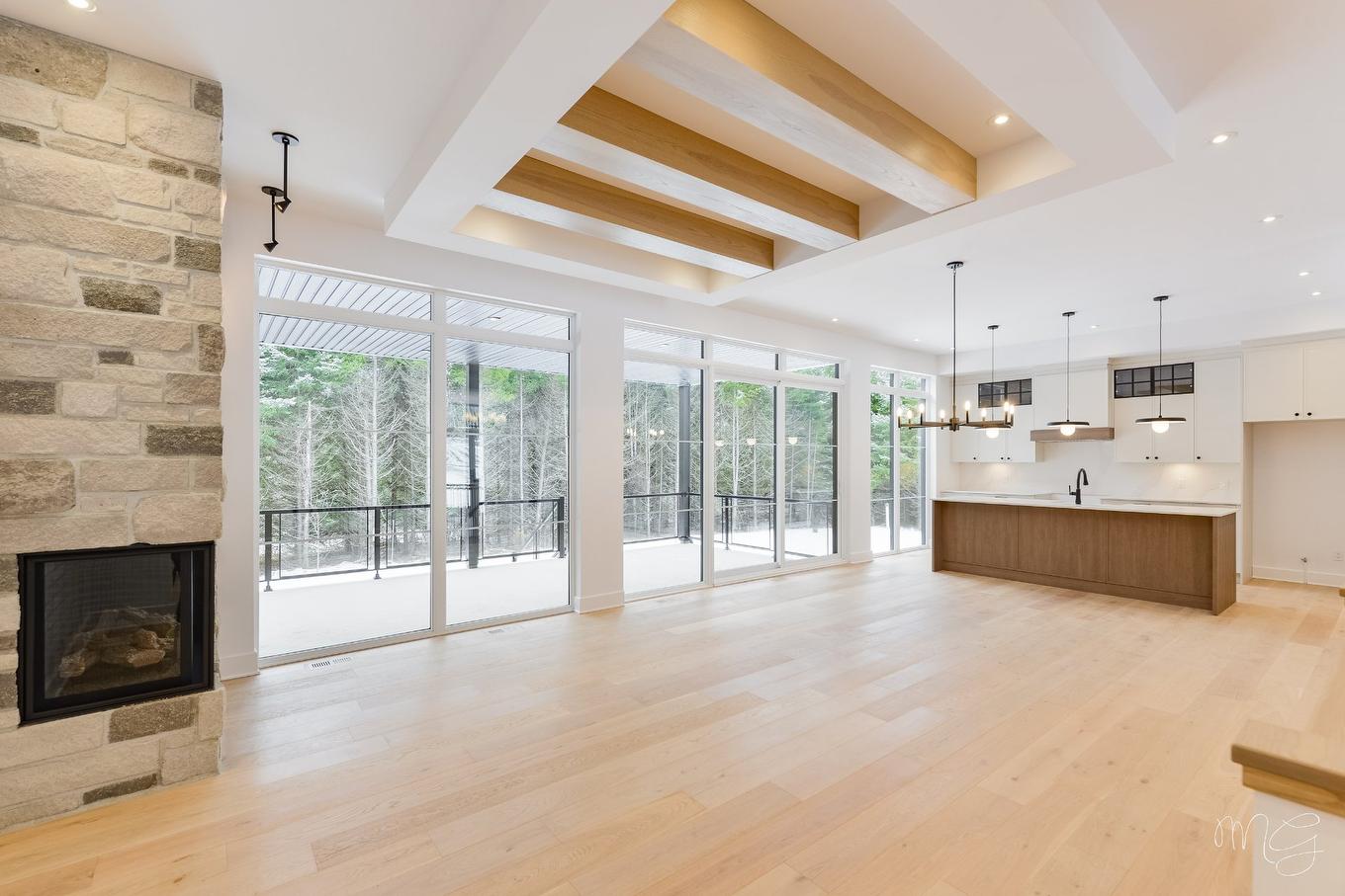 To be built - 1108 Ch. Du Massif, Piedmont, QC - Indoor With Fireplace
