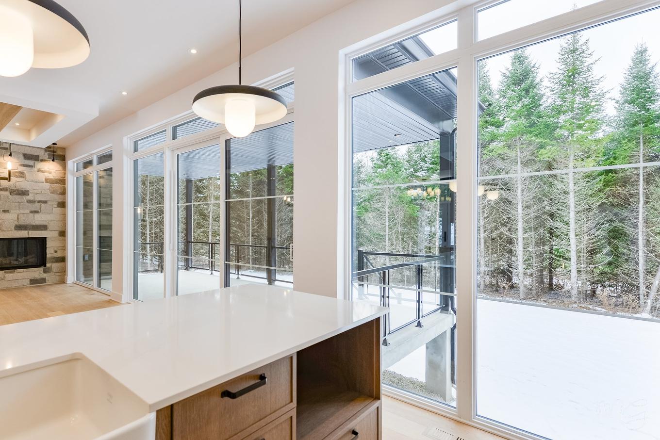 To be built - 1108 Ch. Du Massif, Piedmont, QC - Indoor