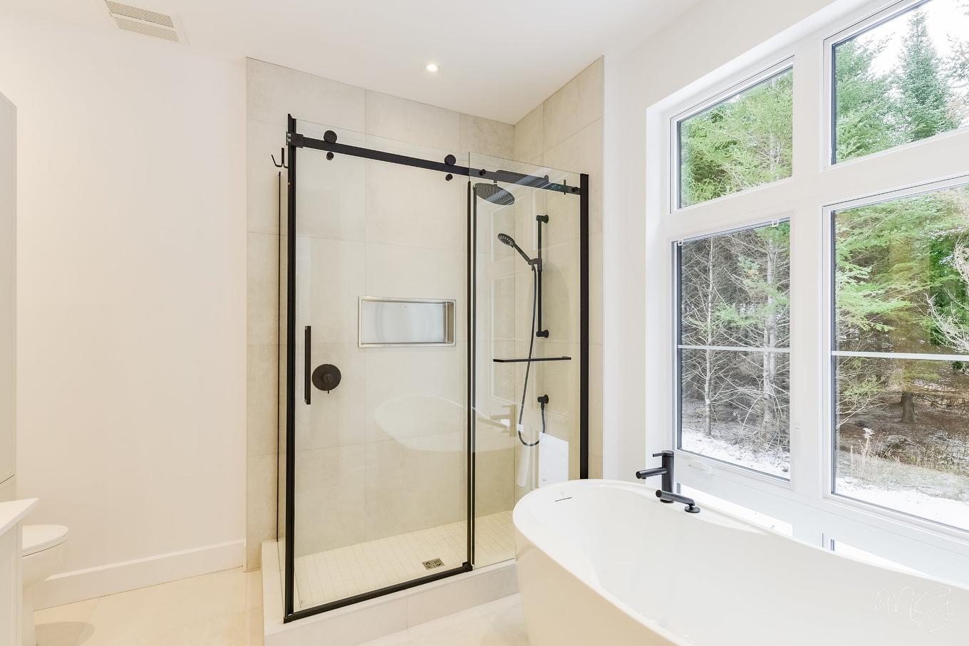 To be built - 1108 Ch. Du Massif, Piedmont, QC - Indoor Photo Showing Bathroom