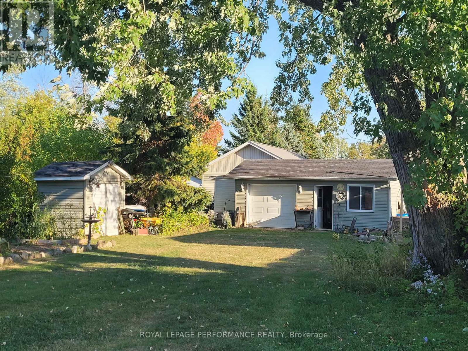Back yard with tree, workshop and garden shed. - 975 Queen Street, Champlain, ON - Outdoor