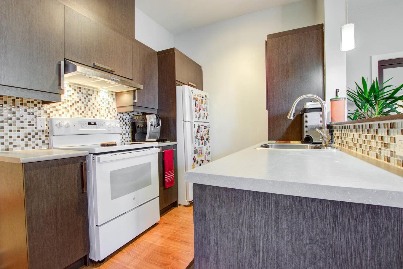 Kitchen - 403-5905 Rue De La Tourbière, Longueuil (Saint-Hubert), QC - Indoor Photo Showing Kitchen