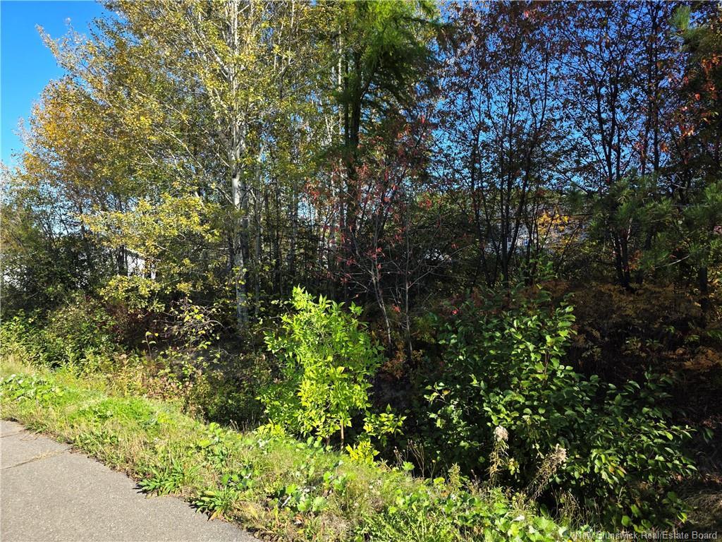 Lot Mazerolle St, Sainte-Anne-De-Madawaska, NB