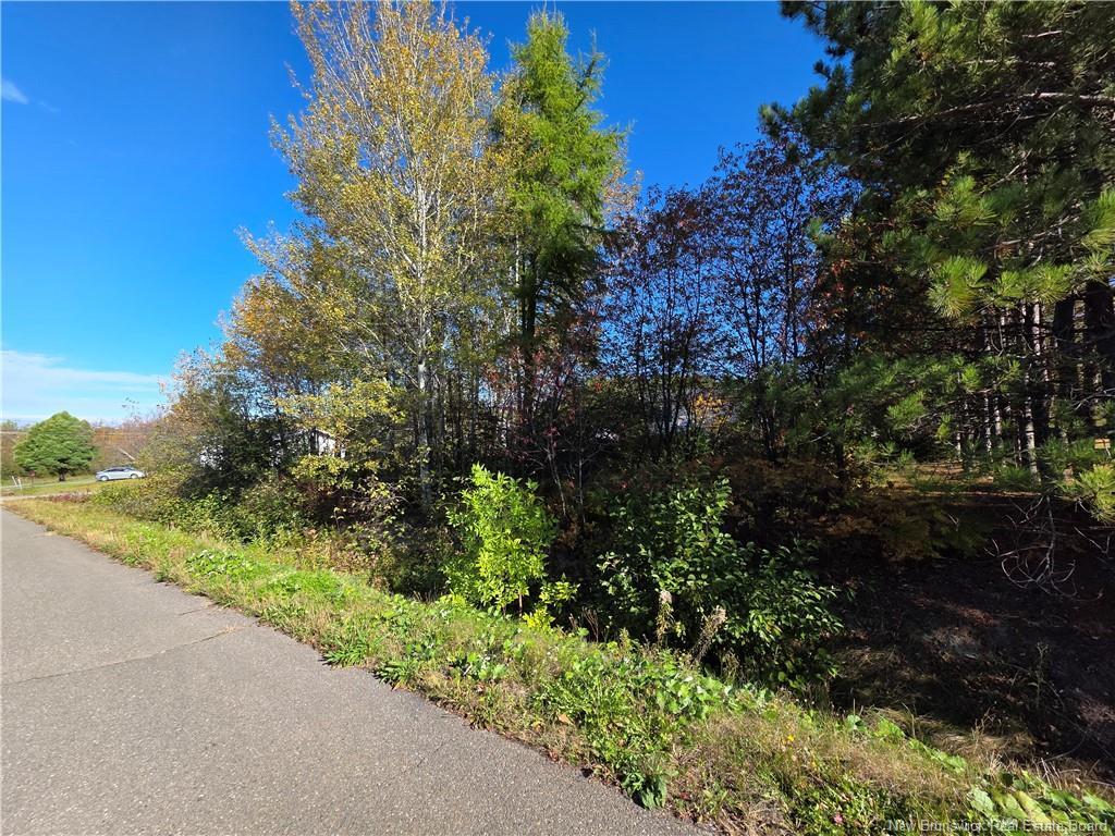 Lot Mazerolle St, Sainte-Anne-De-Madawaska, NB
