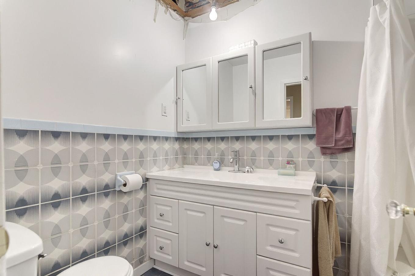 Salle de bains - 795 - 801 Rue Godin, Montréal (Verdun/Île-Des-Soeurs), QC - Indoor Photo Showing Bathroom