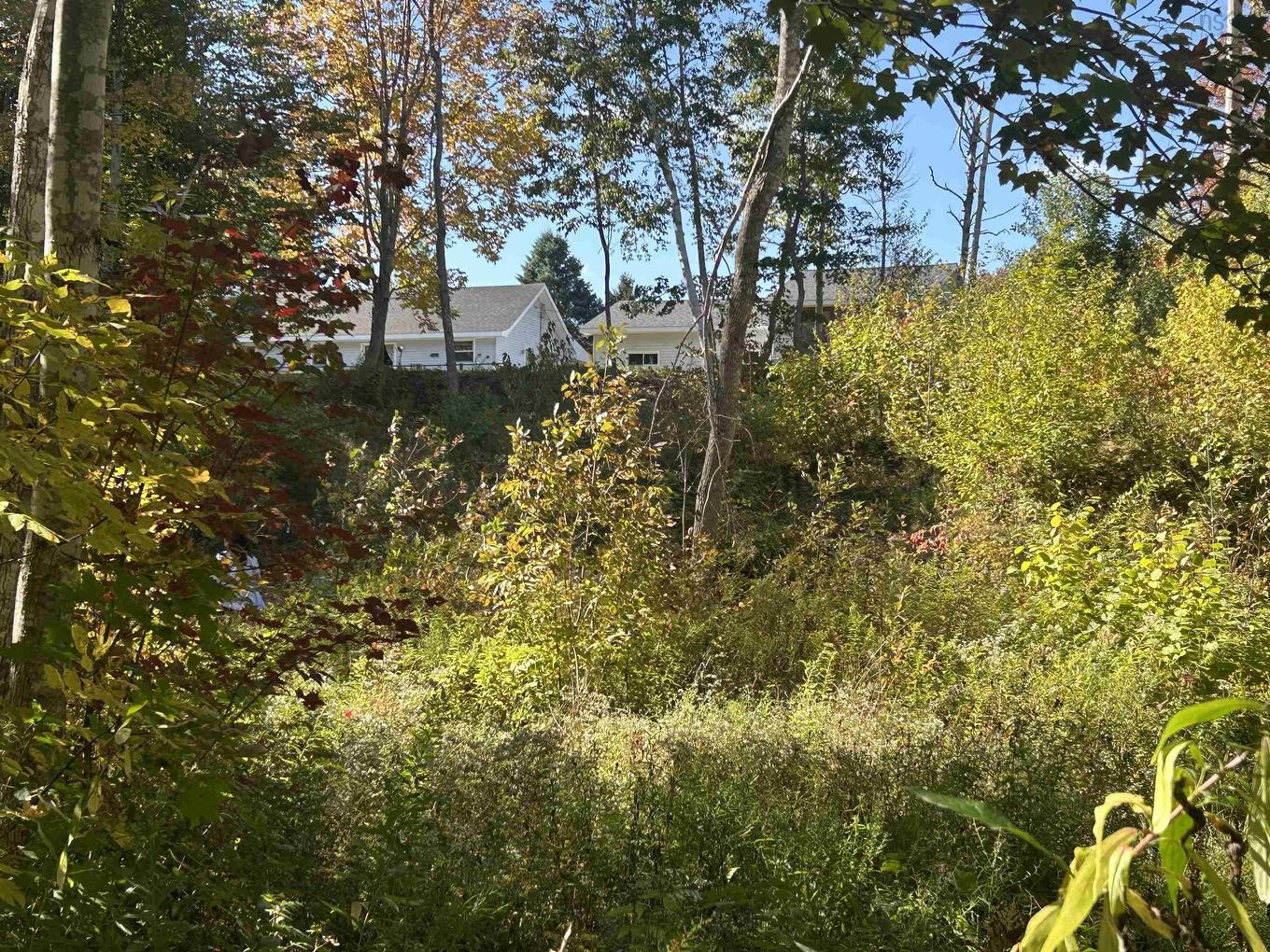 3542 Highway 245, Maryvale, NS