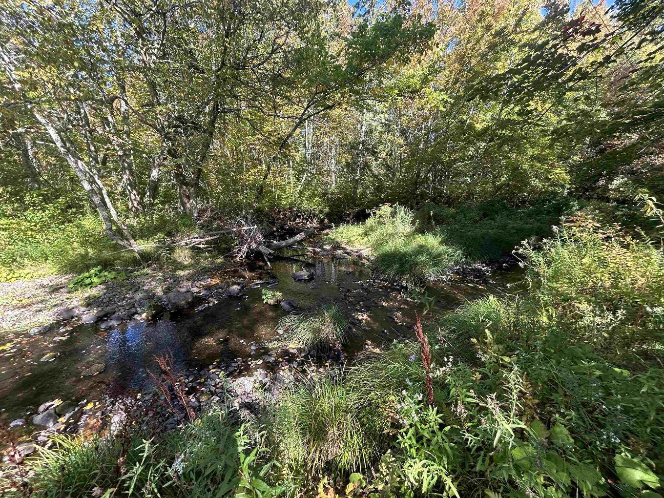 3542 Highway 245, Maryvale, NS