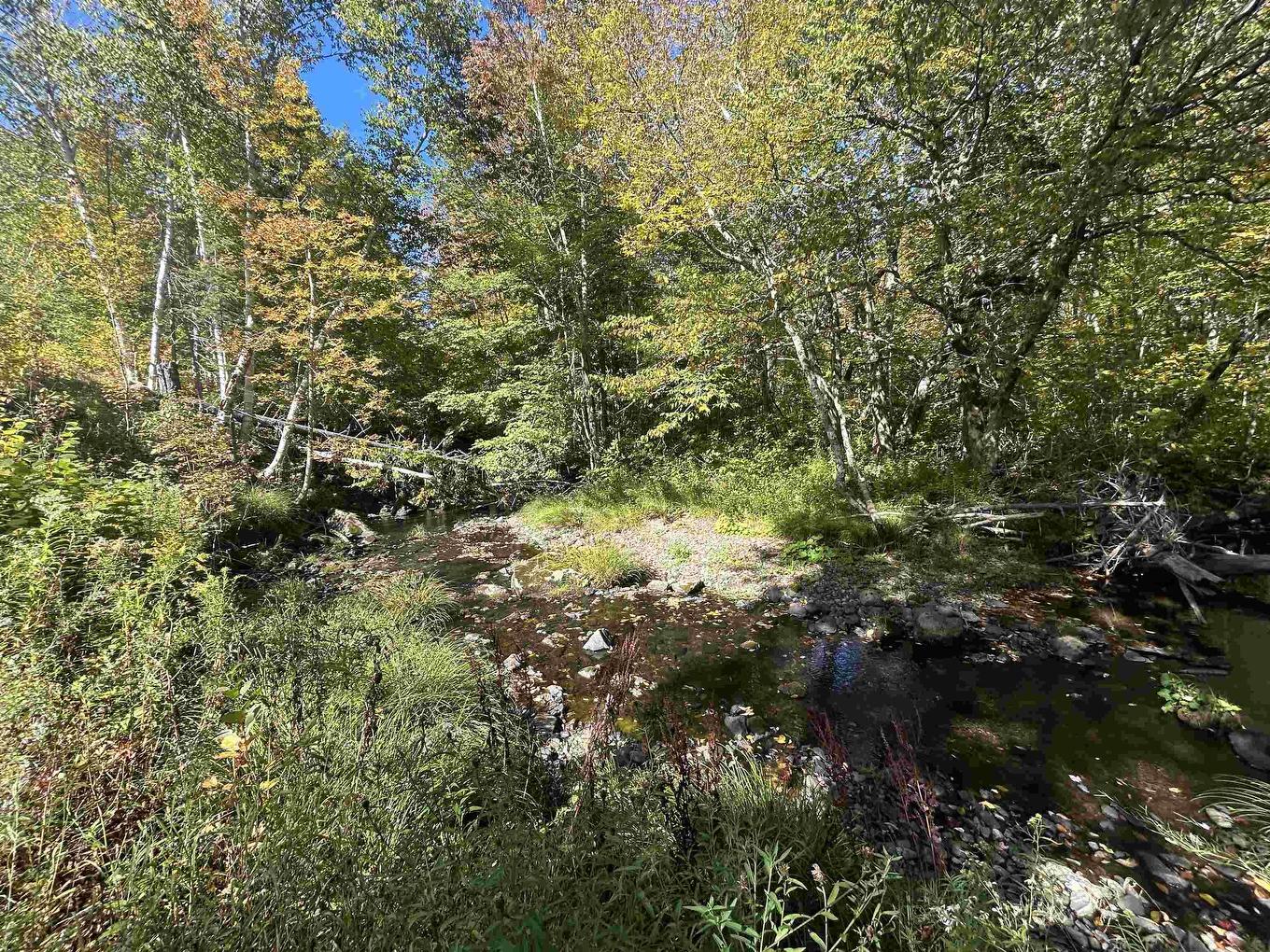 3542 Highway 245, Maryvale, NS