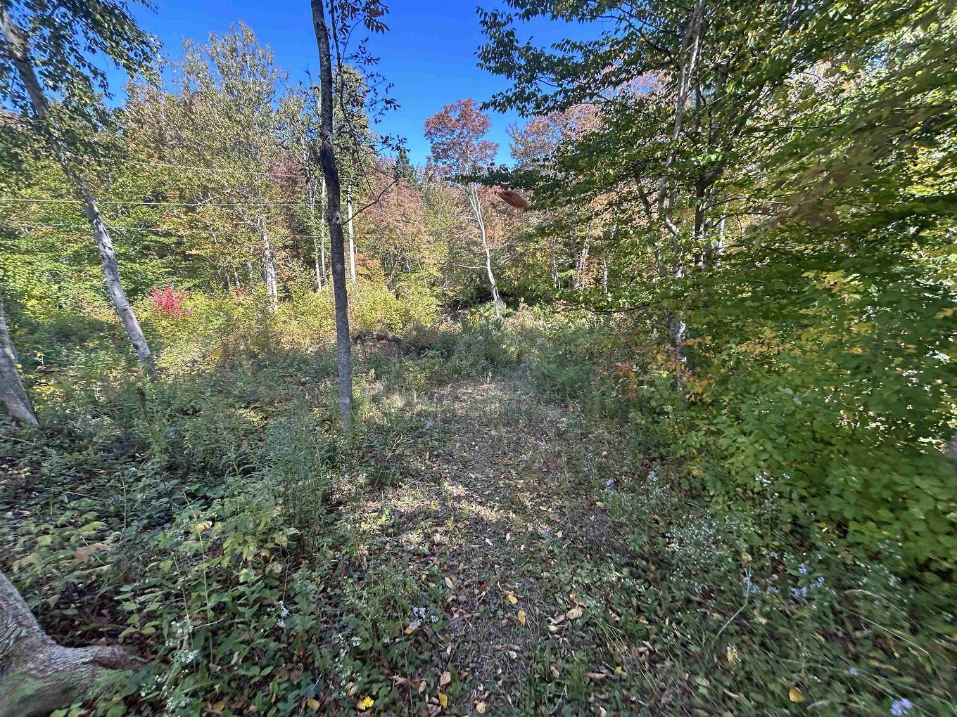 3542 Highway 245, Maryvale, NS