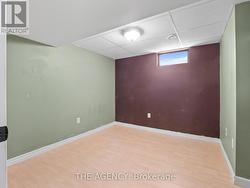 Lower level 2nd bedroom -