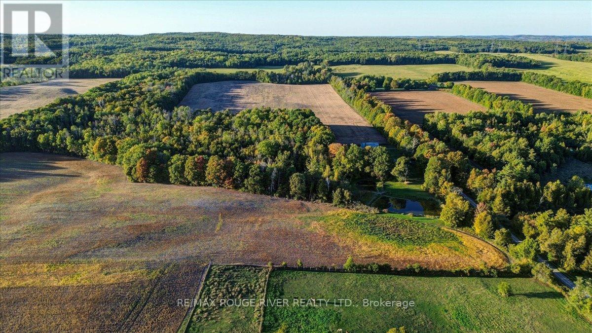 190 Mcbride Road, Alnwick/Haldimand, ON