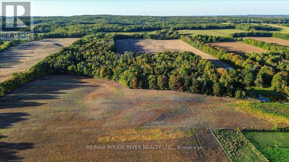 190 Mcbride Road, Alnwick/Haldimand, ON