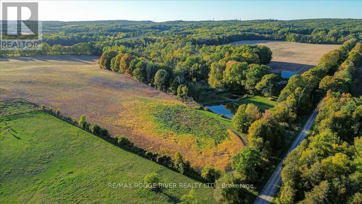 190 Mcbride Road, Alnwick/Haldimand, ON