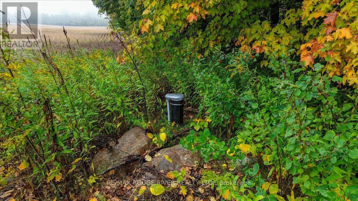 190 Mcbride Road, Alnwick/Haldimand, ON